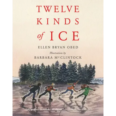 Twelve Kinds of Ice