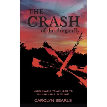The Crash of the Dragonfly: Unbelievable Trials Lead to Unimaginable Blessings
