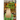 Two Ghosts Haunt a Grove