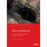 Derrycarhoon: A later Bronze Age copper mine in south-west Ireland