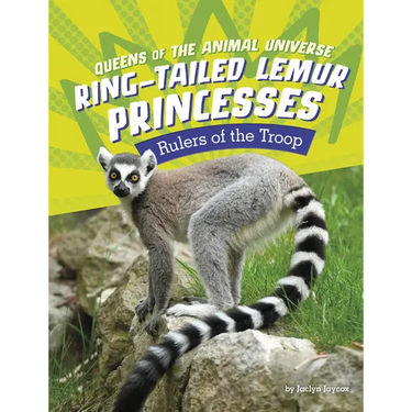 Ring-Tailed Lemur Princesses: Rulers of the Troop