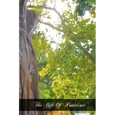 The Gift Of Pentecost: Meditations On The Holy Ghost