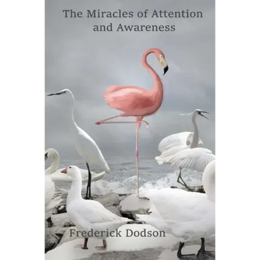 The Miracles of Attention and Awareness
