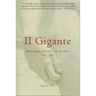 Il Gigante: Michelangelo, Florence, and the David 1492-1504