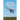 Rolling Pigeons