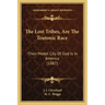 The Lost Tribes, Are The Teutonic Race: Their Model City Of God Is In America (1887)