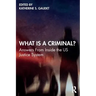 What Is a Criminal?: Answers from Inside the Us Justice System