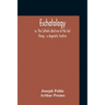 Eschatology: Or, The Catholic Doctrine Of The Last Things: A Dogmatic Treatise
