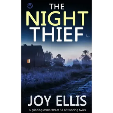 THE NIGHT THIEF a gripping crime thriller full of stunning twists