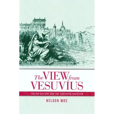 The View from Vesuvius: Italian Culture and the Southern Question Volume 46