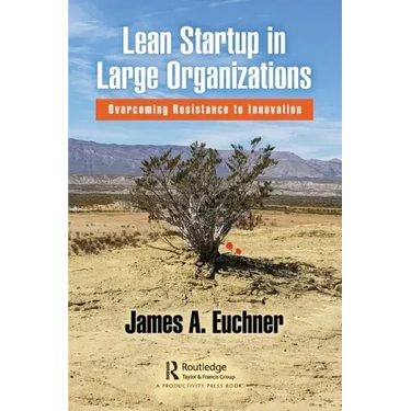 Lean Startup in Large Organizations: Overcoming Resistance to Innovation