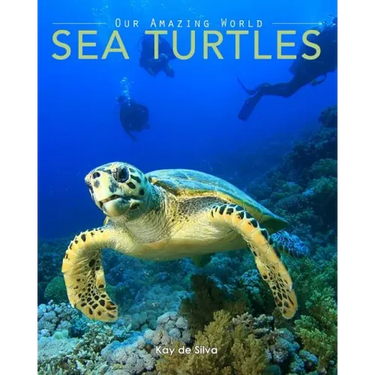 Sea Turtles: Amazing Pictures & Fun Facts on Animals in Nature