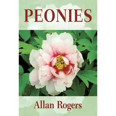 Peonies