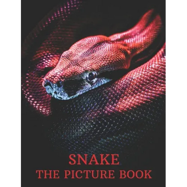 Snake: The Picture Book of Amazing Snake for Snake Lovers, Seniors, Dementia, and Alzheimer's.
