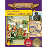 Your Guide to the Islamic Golden Age
