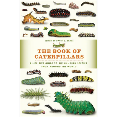 The Book of Caterpillars: A Life-Size Guide to Six Hundred Species from Around the World