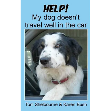 Help! My dog doesn't travel well in the car