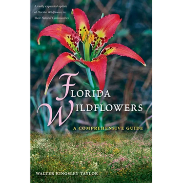 Florida Wildflowers: A Comprehensive Guide