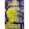 A Moth Collection