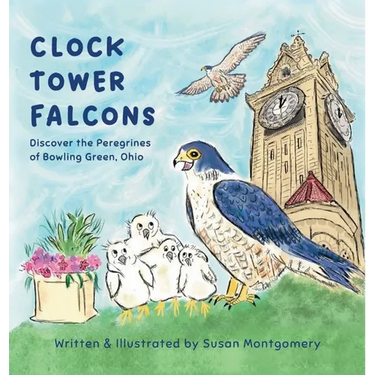 Clock Tower Falcons