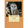 The Celtic Owl: A Year with the Celtic Faerie