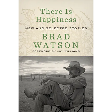 There Is Happiness: New and Selected Stories