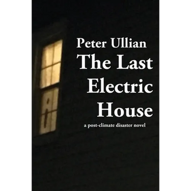 The Last Electric House: a post-climate disaster novel