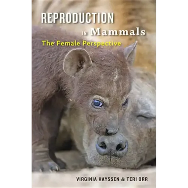 Reproduction in Mammals: The Female Perspective