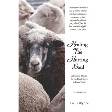 Healing the Hurting Soul: Revised Edition
