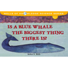 Is a Blue Whale the Biggest Thing There Is?