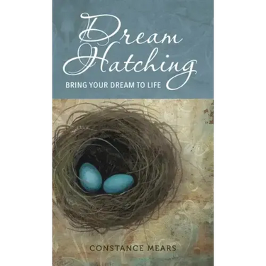 Dream Hatching: Bring Your Dream to Life