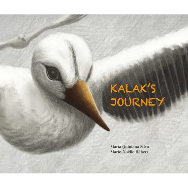 Kalak's Journey
