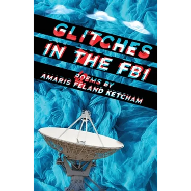 Glitches in the FBI