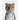 Animal Kingdom: A Collection of Portraits