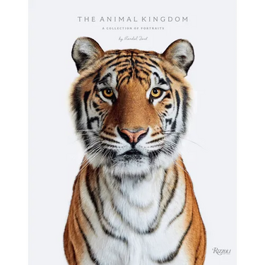 Animal Kingdom: A Collection of Portraits