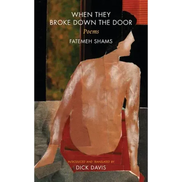 When They Broke Down The Door: Poems