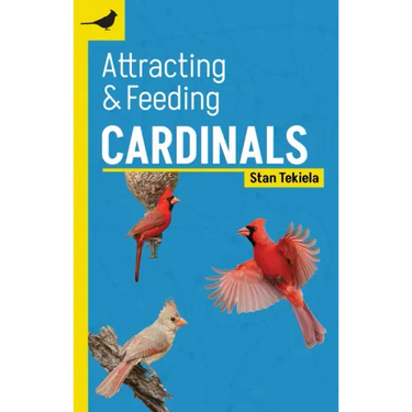 Attracting & Feeding Cardinals