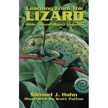 Learning from the Lizard