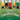My first Capoeira class / A minha primeira aula de Capoeira