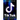 TikTok: Becoming the Influencer: Have Fun Making Your First Million $