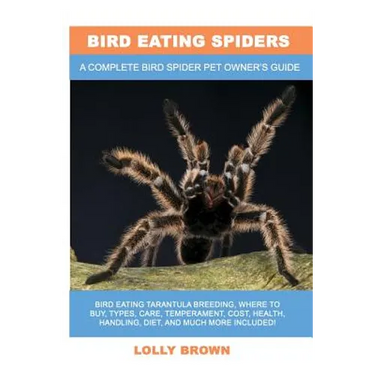 Bird Eating Spiders: Bird Eating Tarantula breeding, where to buy, types, care, temperament, cost, health, handling, diet, and much more in