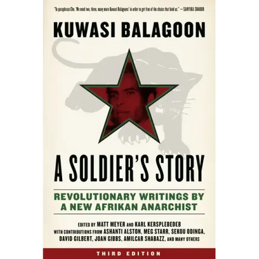 Soldier's Story: Revolutionary Writings by a New Afrikan Anarchist