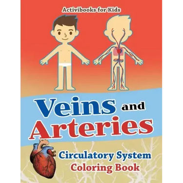 Veins and Arteries: Circulatory System Coloring Book