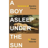 A Boy Asleep Under the Sun: Versions of Sandro Penna