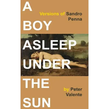 A Boy Asleep Under the Sun: Versions of Sandro Penna
