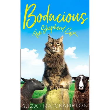 Bodacious: The Shepherd Cat