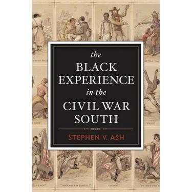 The Black Experience in the Civil War South