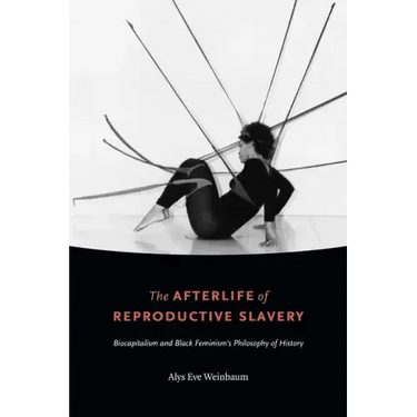 The Afterlife of Reproductive Slavery: Biocapitalism and Black Feminism's Philosophy of History