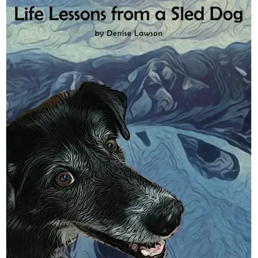 Life Lessons from a Sled Dog