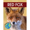 Red Fox: Fascinating Animal Facts for Kids